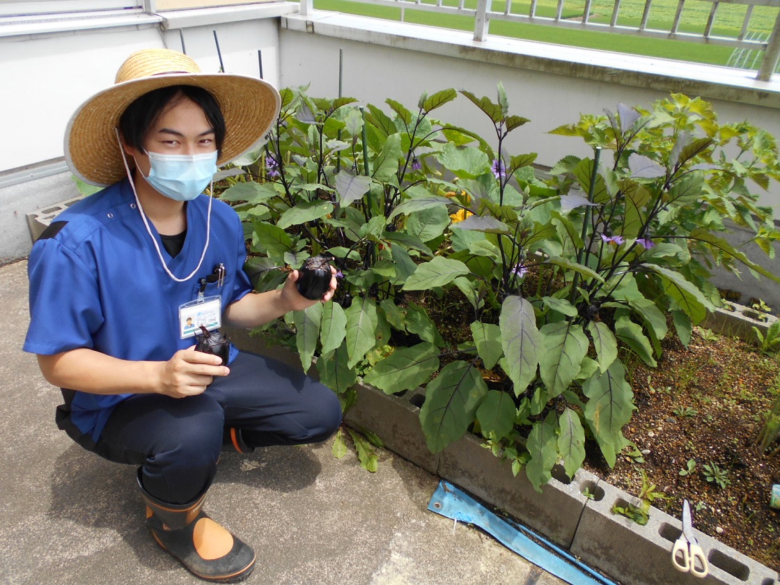 川西湖山病院 リハビリテーション科「リハ科農園🍆」