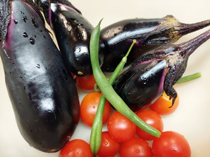 グループホーム楓の家　夏野菜を収穫🍅