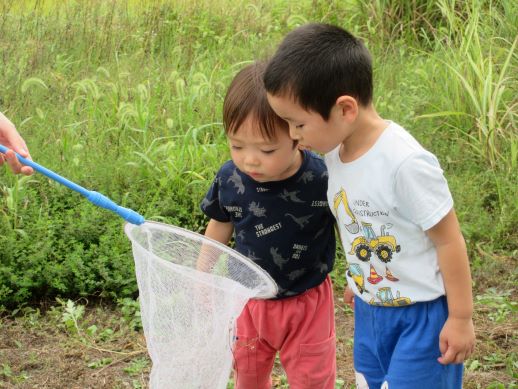 保育室ぽかぽか　秋の虫を探そう！