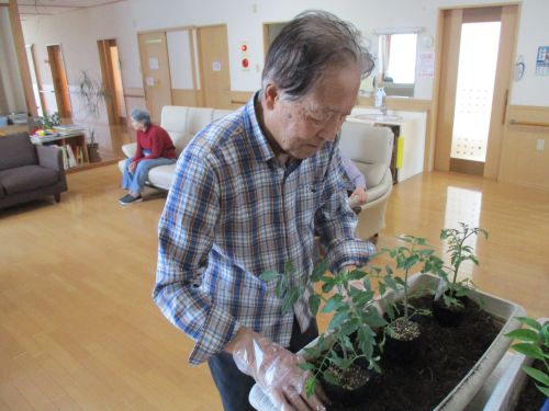 香紅の里　野菜を育てよう！