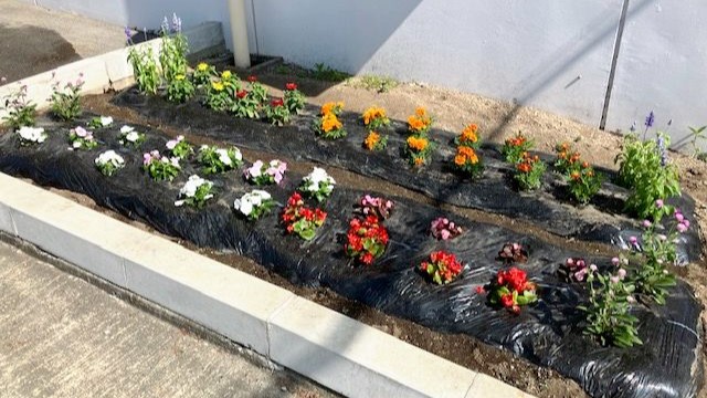 川西湖山病院 環境美化委員会「お花を植えました🌼」