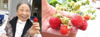 川西湖山病院 リハビリテーション科「苺の収穫祭🍓2025✨」