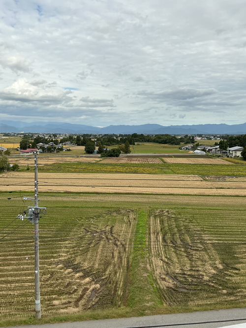 かがやきの丘　屋上散歩でリフレッシュ！　すみれ棟
