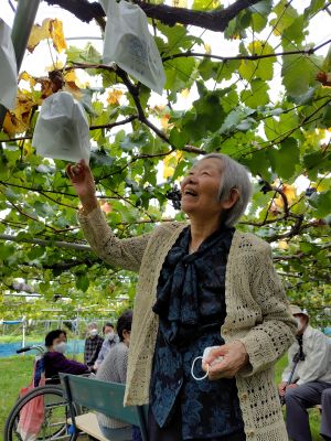 楓の家　～ぶどう狩り🍇～